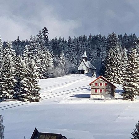 Haus Am Sonnenberg,Todtnauberg, Ferienwohnung 002, Direkt Am Skilift-Skipiste, Naehe Feldberg Eksteriør bilde