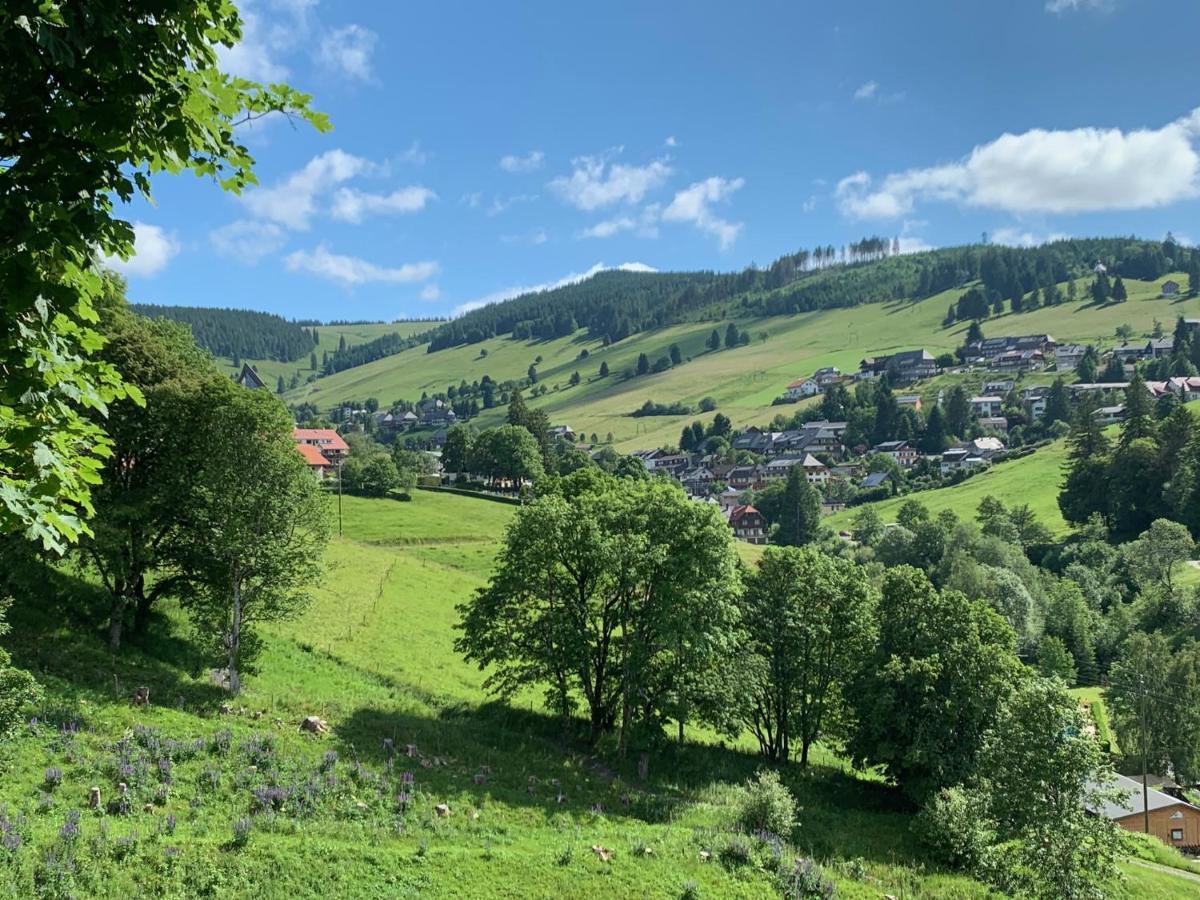 Haus Am Sonnenberg,Todtnauberg, Ferienwohnung 002, Direkt Am Skilift-Skipiste, Naehe Feldberg Eksteriør bilde