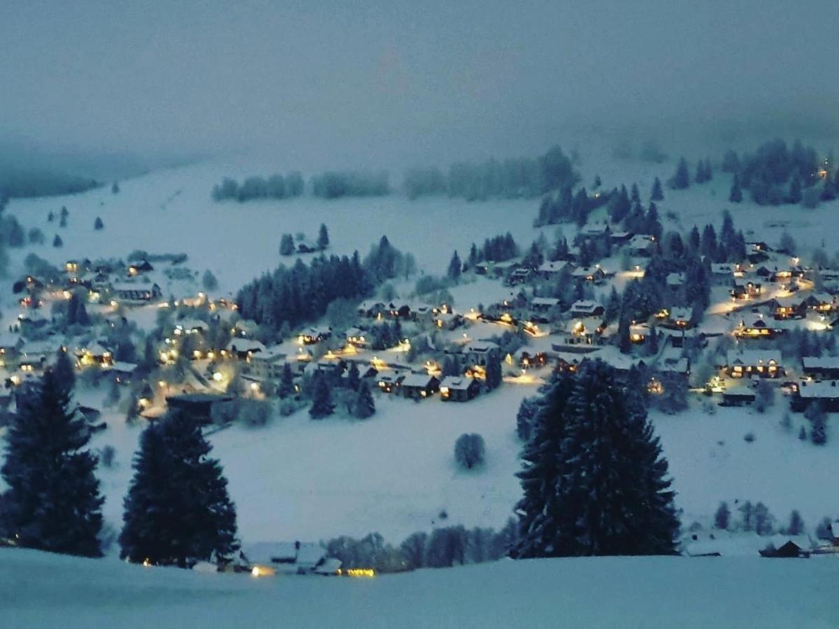 Haus Am Sonnenberg,Todtnauberg, Ferienwohnung 002, Direkt Am Skilift-Skipiste, Naehe Feldberg Eksteriør bilde
