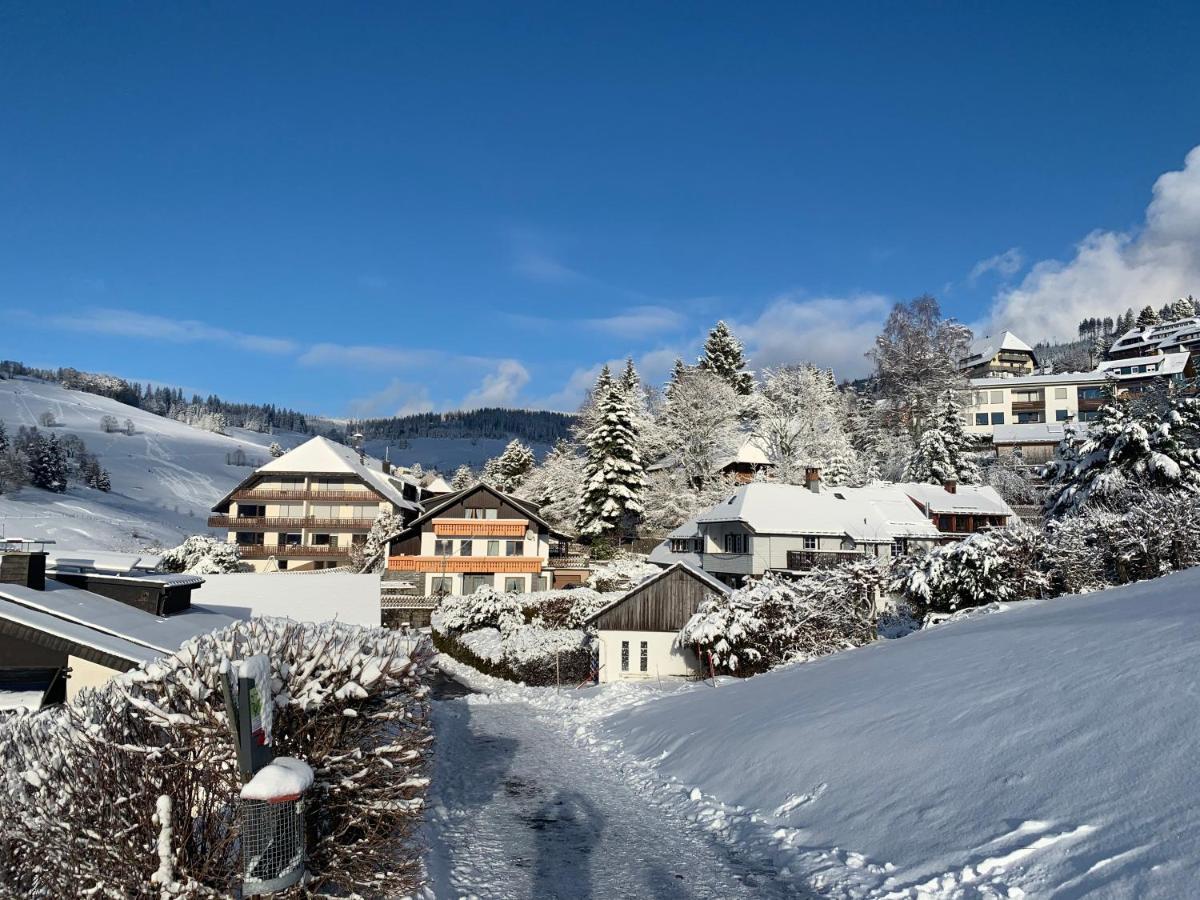Haus Am Sonnenberg,Todtnauberg, Ferienwohnung 002, Direkt Am Skilift-Skipiste, Naehe Feldberg Eksteriør bilde